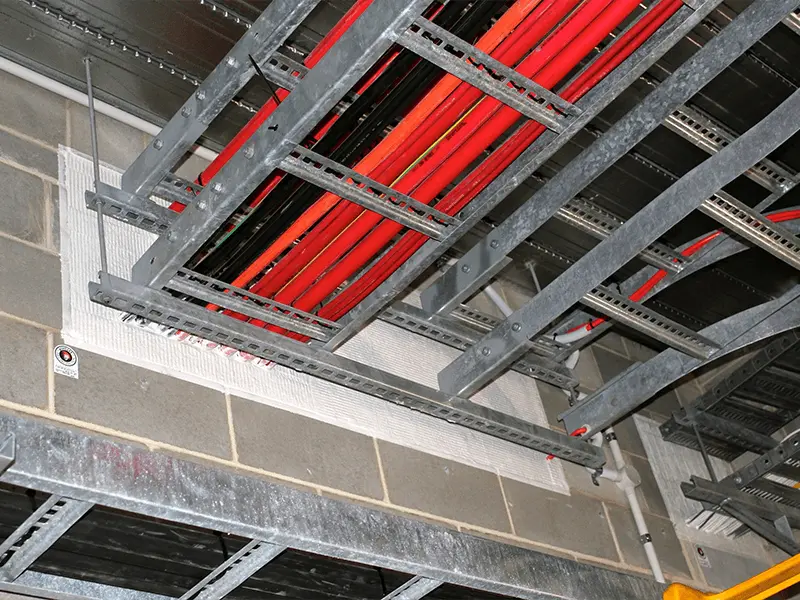 Professional inspecting a fire door